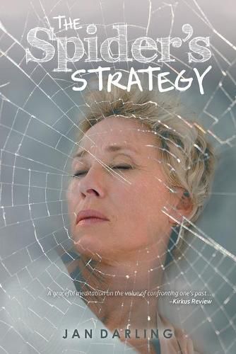 Cover image for The Spider's Strategy