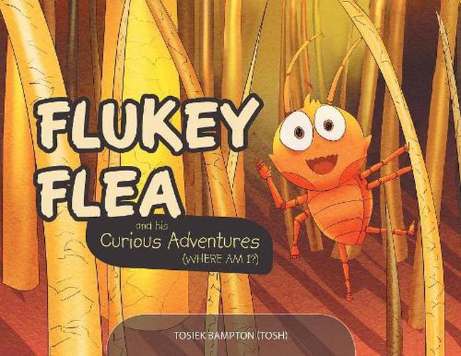 Cover image for Flukey Flea and his Curious Adventures: (where am i?)