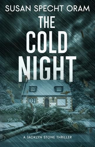 Cover image for The Cold Night