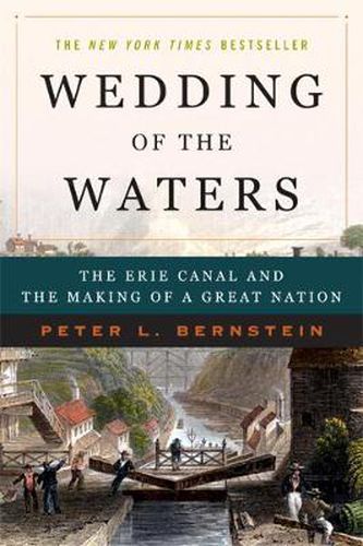 Cover image for Wedding of the Waters: The Erie Canal and the Making of a Great Nation