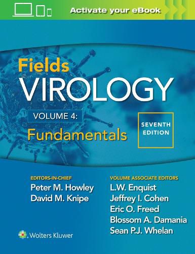 Cover image for Fields Virology: Fundamentals