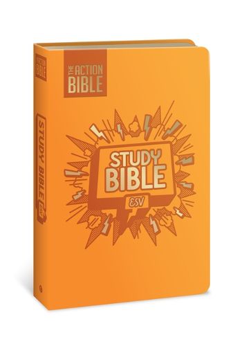 Cover image for AB STUDY BIBLE ESV ORANGE