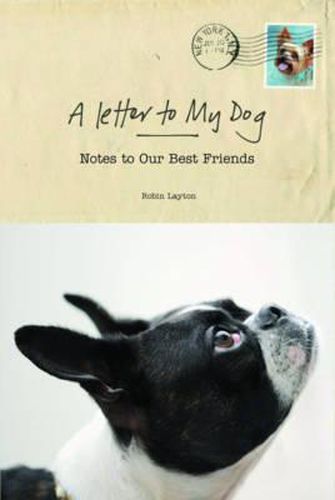 A Letter to My Dog: Personal Notes from Humans to Their Pups