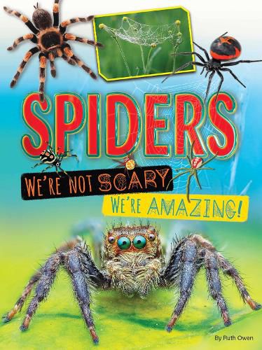 Cover image for Spiders We're Not Scary We're Amazing