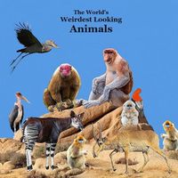 Cover image for Weirdest Looking Animals in the World Kids Book