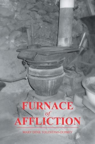 Cover image for Furnace of Affliction