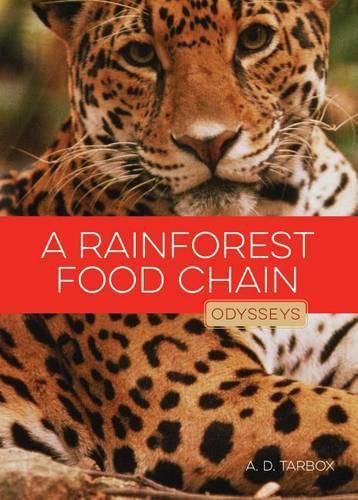 Cover image for A Rainforest Food Chain