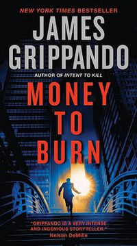 Cover image for Money to Burn