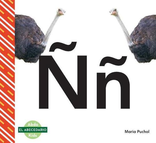 Cover image for Nn