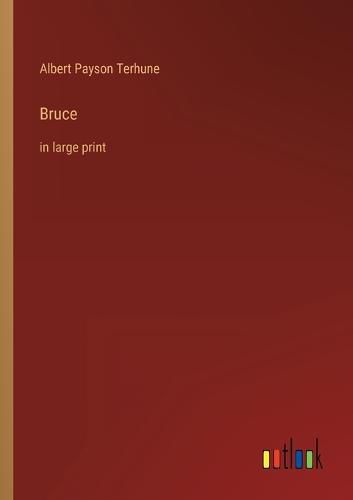 Cover image for Bruce