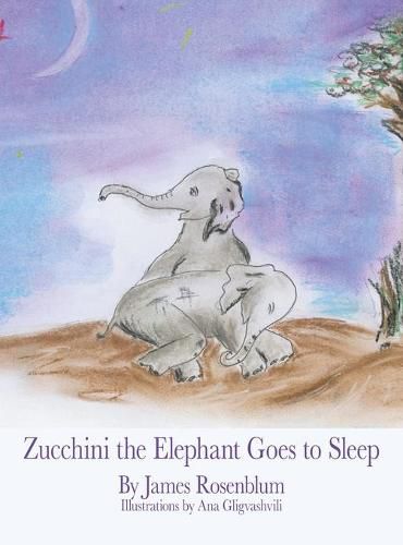 Cover image for Zucchini the Elephant Goes to Sleep