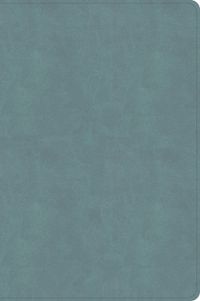 Cover image for CSB Giant Print Single-Column Bible, Earthen Teal Suedesoft Leathertouch