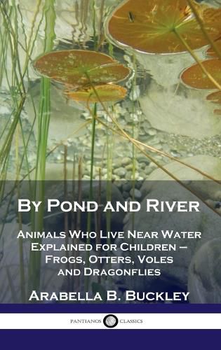 Cover image for By Pond and River: Animals Who Live Near Water Explained for Children - Frogs, Otters, Voles and Dragonflies