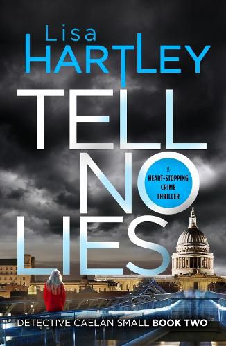 Cover image for Tell No Lies