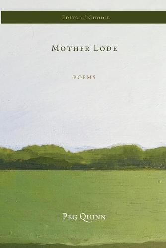 Cover image for Mother Lode