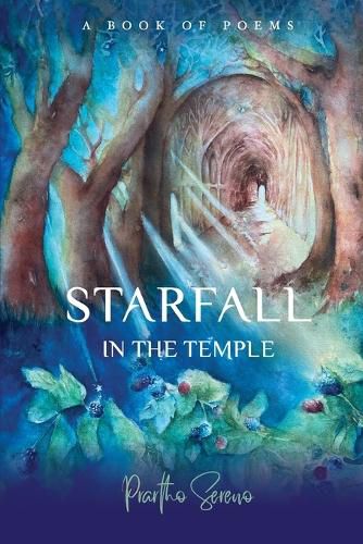 Cover image for Starfall in the Temple