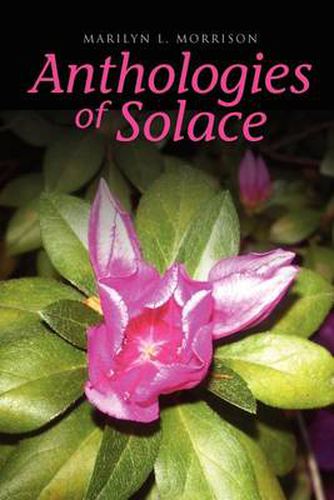 Cover image for Anthologies of Solace