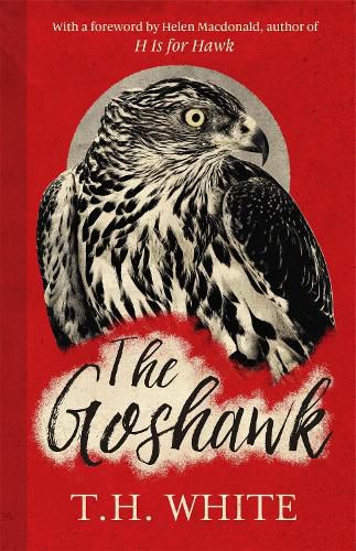The Goshawk: With a new foreword by Helen Macdonald