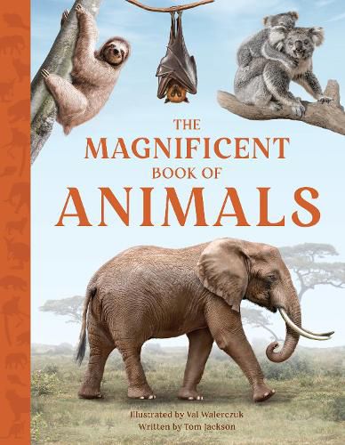 Cover image for The Magnificent Book of Animals