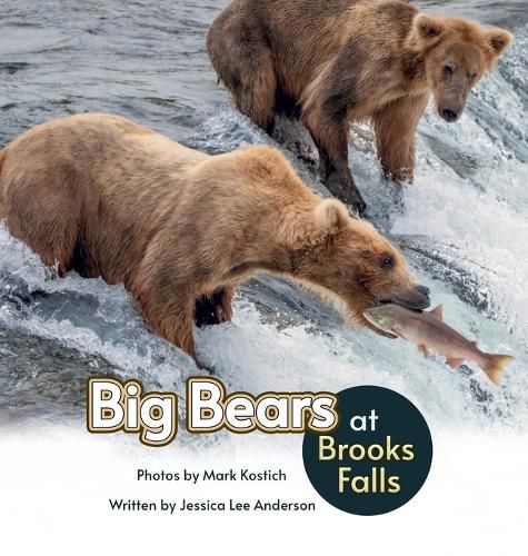 Cover image for Big Bears at Brooks Falls