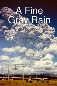 Cover image for A Fine Gray Rain