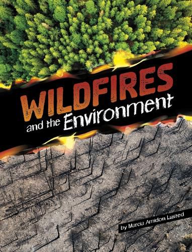 Disasters & the Environment Wildfires