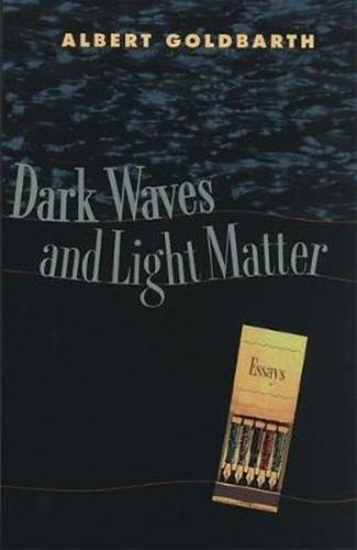 Cover image for Dark Waves and Light Matter