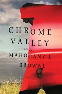 Cover image for Chrome Valley