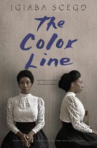 Cover image for The Color Line: A Novel