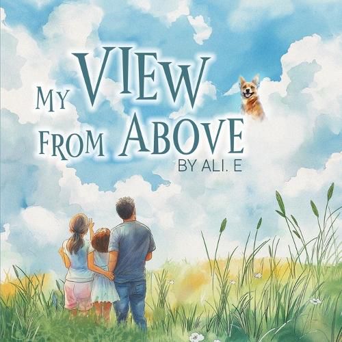 Cover image for My View from Above