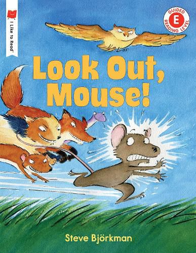 Cover image for Look Out, Mouse!