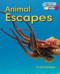 Cover image for Animal Escapes