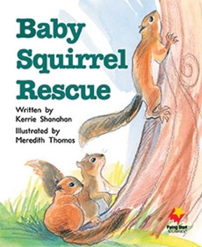 Cover image for Baby Squirrel Rescue