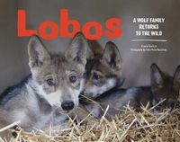 Cover image for Lobos: A Wolf Family Returns to the Wild