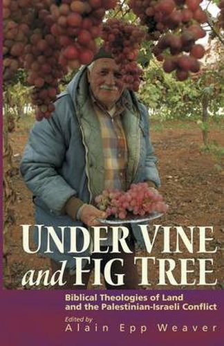 Cover image for Under Vine and Fig Tree: Biblical Theologies of Land and the Palestinian-Israeli Conflict