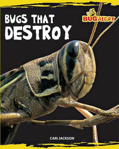Cover image for Bugs That Destroy