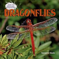 Cover image for Dragonflies