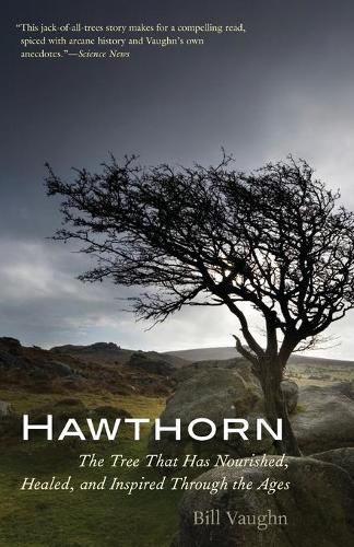 Hawthorn: The Tree That Has Nourished, Healed, and Inspired Through the Ages