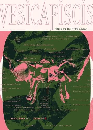 Cover image for Vesicapiscis