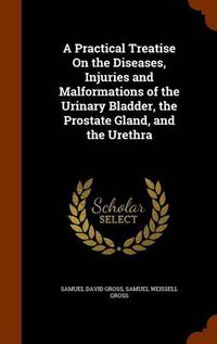 Cover image for A Practical Treatise on the Diseases, Injuries and Malformations of the Urinary Bladder, the Prostate Gland, and the Urethra