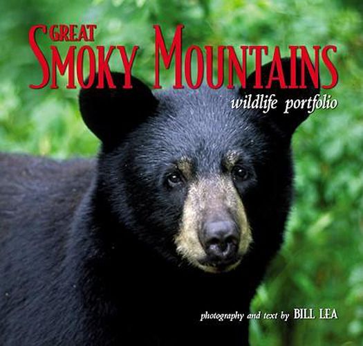 Cover image for Great Smoky Mountains Wildlife Port.