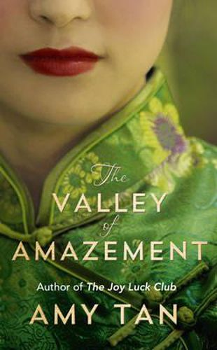 Cover image for The Valley of Amazement