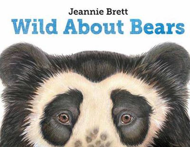 Cover image for Wild About Bears