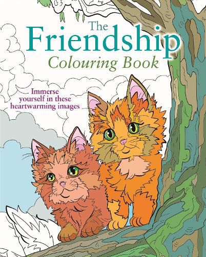 Cover image for The Friendship Colouring Book