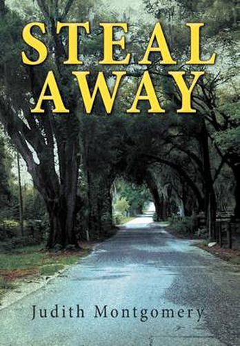 Cover image for Steal Away