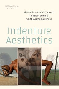 Cover image for Indenture Aesthetics