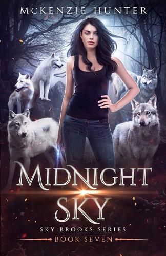 Cover image for Midnight Sky