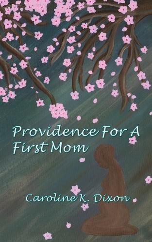 Cover image for Providence for a First Mom