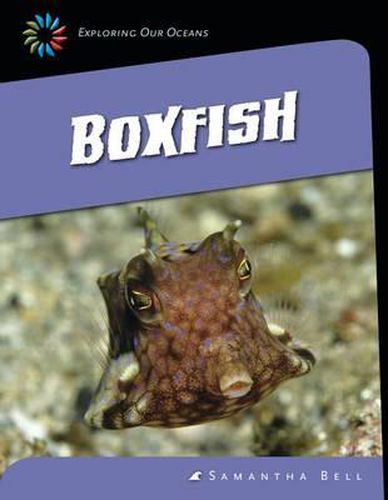 Cover image for Boxfish