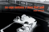 Cover image for No Cage Contains a Stare That Well